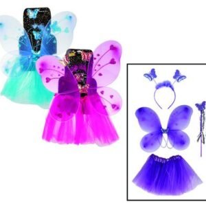 Dress up wings and skirt