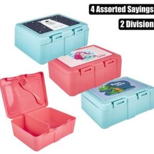Lunch box 2 division w/spork